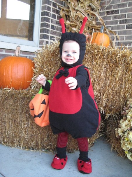 1916209_163481417513_3320943_n