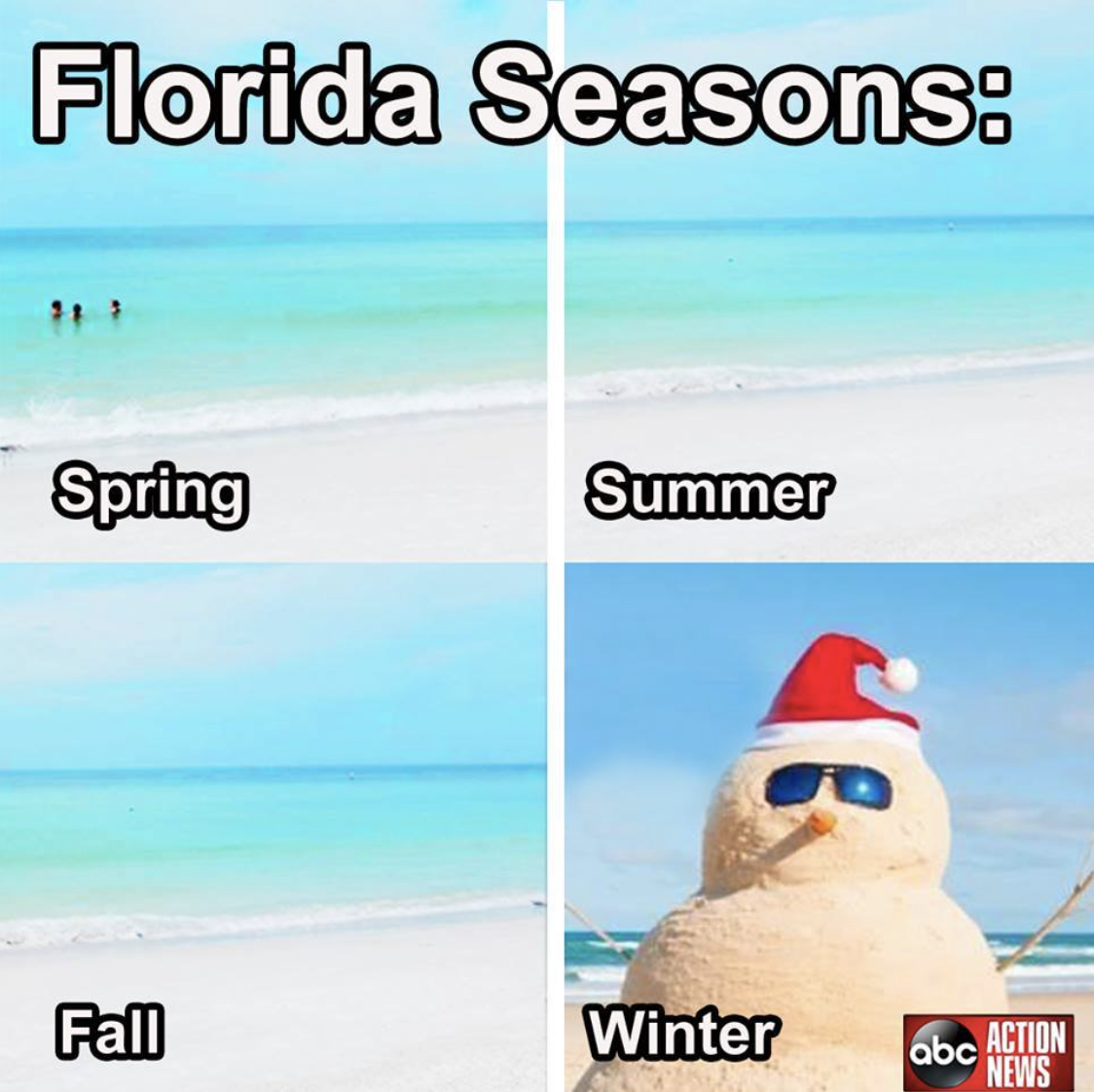 Screen Shot 2019-12-17 at 10.27.50 AM