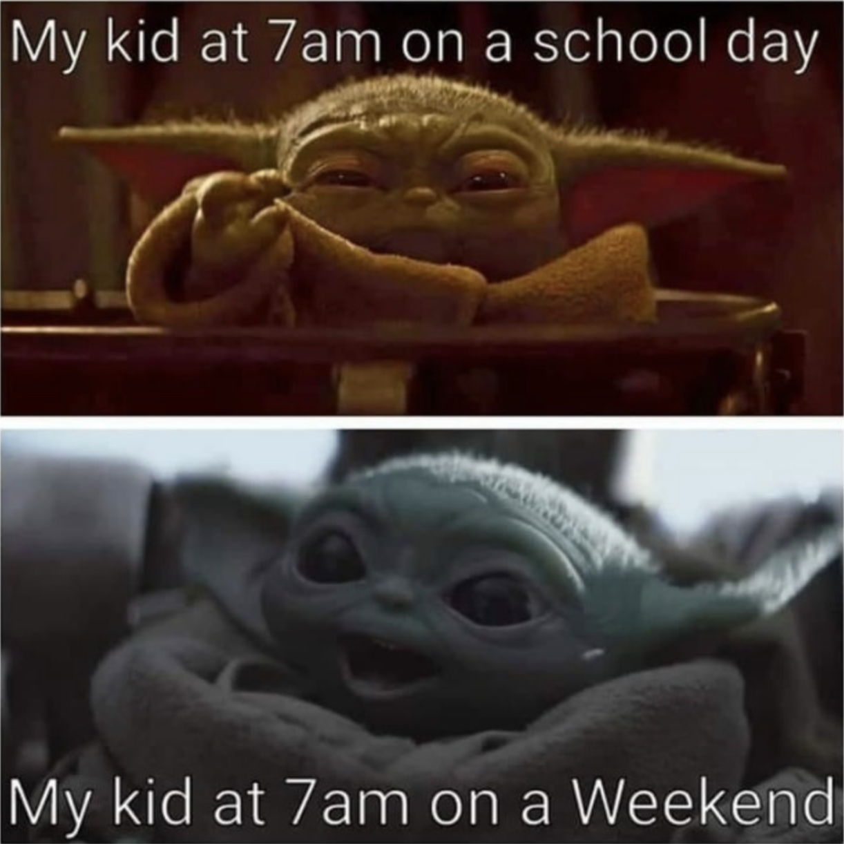 Screen Shot 2020-02-17 at 11.22.01 AM