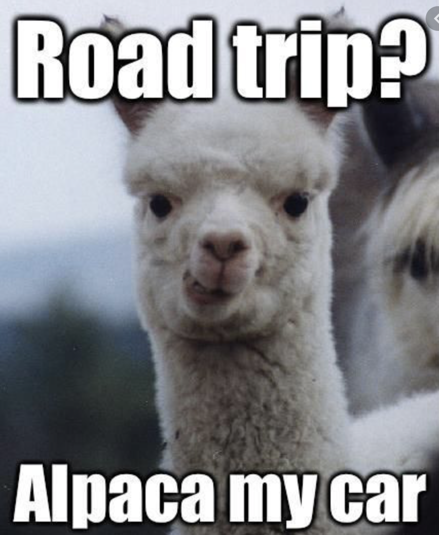 Screen Shot 2020-05-31 at 10.54.25 PM